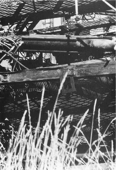 Иллюстрация к книге — Истинное восприятие. Путь дхармического искусства [i_029.jpg]