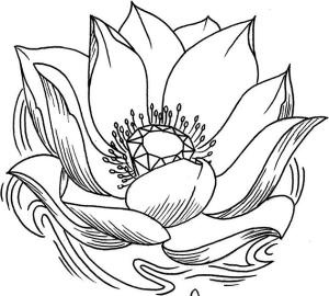 Иллюстрация к книге — Мудры. Все в одной книге. Исполни любое желание [_02.jpg]