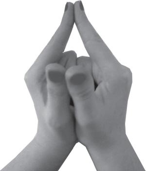 Иллюстрация к книге — Мудры. Все в одной книге. Исполни любое желание [_09.jpg]