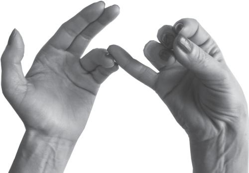 Иллюстрация к книге — Мудры. Все в одной книге. Исполни любое желание [_20.jpg]