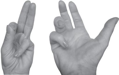 Иллюстрация к книге — Мудры. Все в одной книге. Исполни любое желание [_32.jpg]