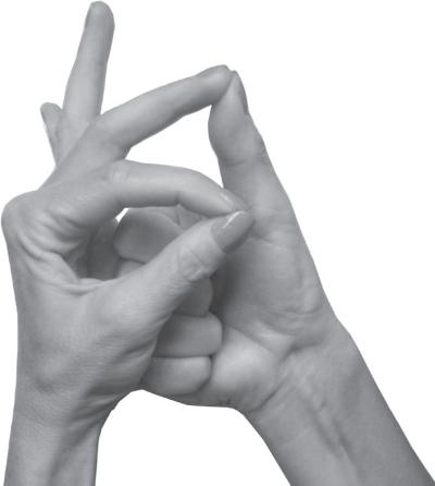 Иллюстрация к книге — Мудры. Все в одной книге. Исполни любое желание [_35.jpg]