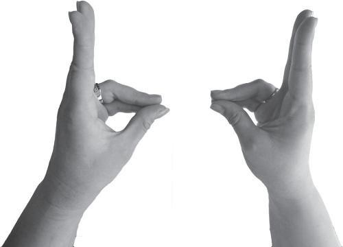 Иллюстрация к книге — Мудры. Все в одной книге. Исполни любое желание [_41.jpg]