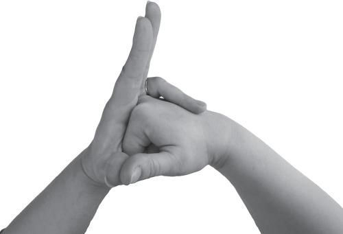 Иллюстрация к книге — Мудры. Все в одной книге. Исполни любое желание [_43.jpg]