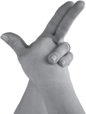 Иллюстрация к книге — Мудры. Все в одной книге. Исполни любое желание [_44.jpg]