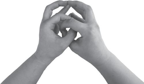 Иллюстрация к книге — Мудры. Все в одной книге. Исполни любое желание [_45.jpg]