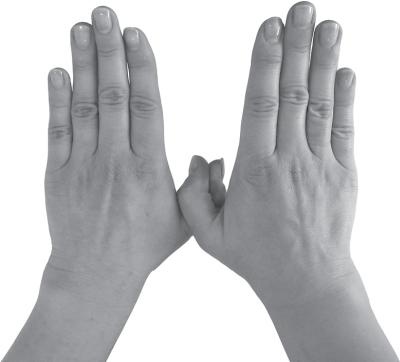 Иллюстрация к книге — Мудры. Все в одной книге. Исполни любое желание [_49.jpg]