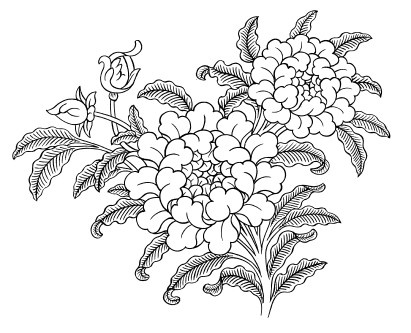 Иллюстрация к книге — Медицина и сострадание. Советы тибетского ламы всем, кто заботиться о больных и умирающих людях [i_016.jpg]