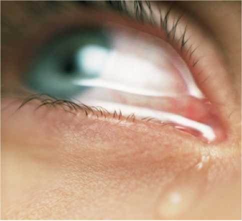 Иллюстрация к книге — Бог никогда не моргает. 50 уроков, которые изменят твою жизнь [i_006.jpg]