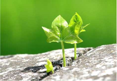 Иллюстрация к книге — Бог никогда не моргает. 50 уроков, которые изменят твою жизнь [i_016.jpg]