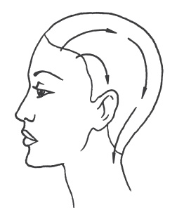 Иллюстрация к книге — Омоложение без подтяжек за 30 дней [i_022.jpg]