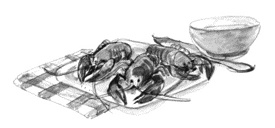 Иллюстрация к книге — Настоящий джентльмен. Правила современного этикета для мужчин [Autogen_eBook_id5.jpg]