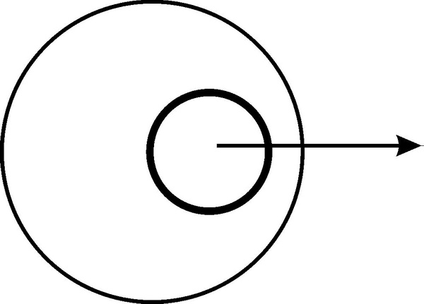 Иллюстрация к книге — Средство от болезней [i_013.jpg]