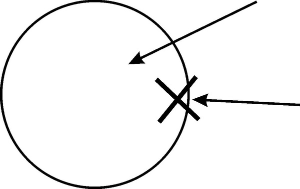 Иллюстрация к книге — Средство от болезней [i_016.jpg]