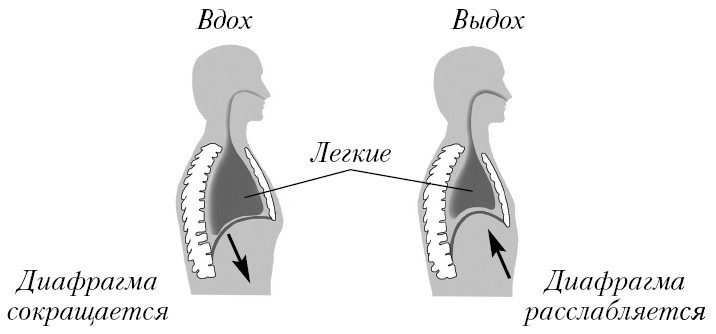 Иллюстрация к книге — День управления стрессом [i_009.jpg]