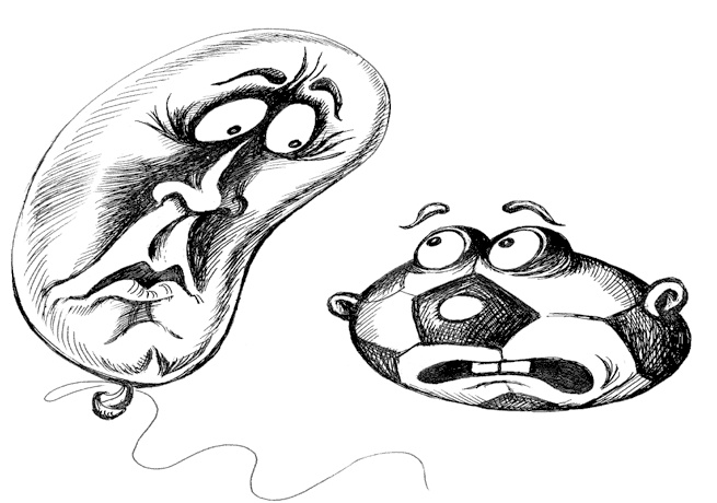 Иллюстрация к книге — Бунт в тарелке [i_009.jpg]