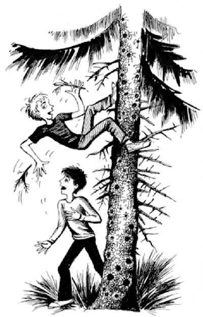 Иллюстрация к книге — 13-й карась [i_010.jpg]