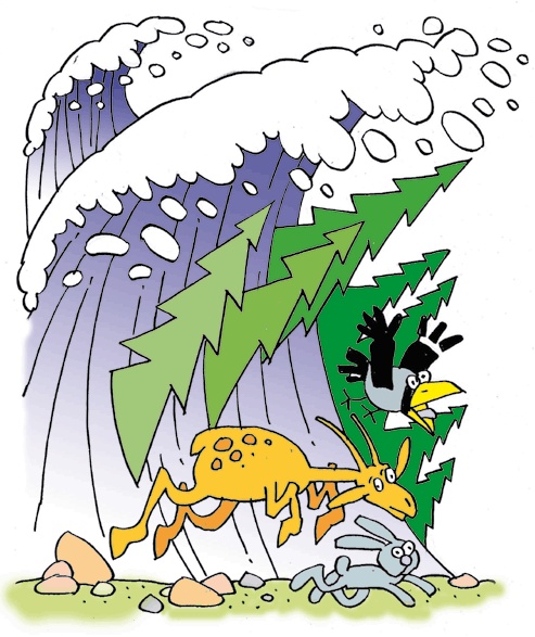 Иллюстрация к книге — Бабочка и море [i_003.jpg]