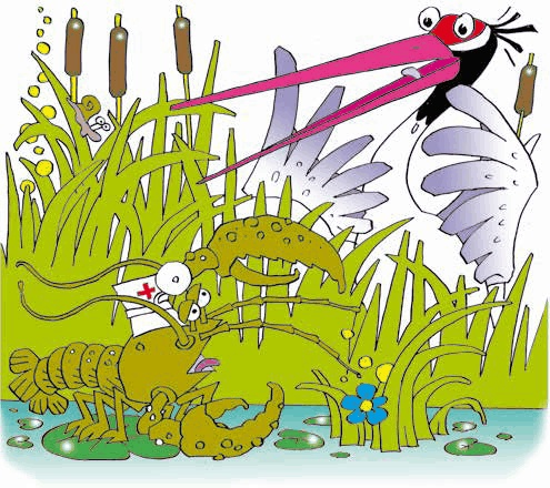 Иллюстрация к книге — Журавль и дюжина зелёных лягушат [i_002.jpg]