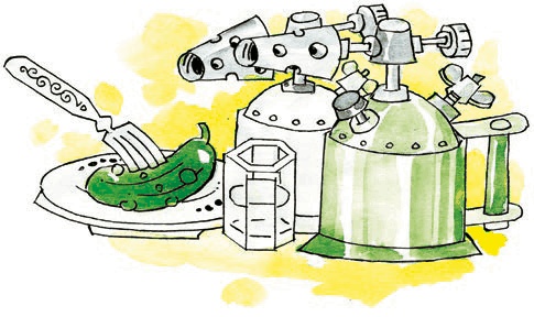 Иллюстрация к книге — Кабан по-телегенски [i_016.jpg]