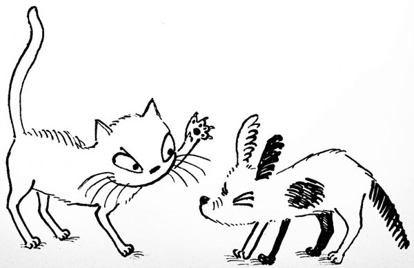 Иллюстрация к книге — Призрак кошки [_185.jpg]