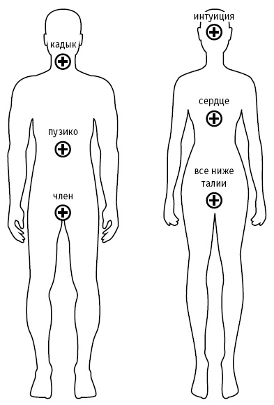Иллюстрация к книге — Формула женского магнетизма. Как войти в сердце мужчины и остаться там навсегда [i_001.jpg]