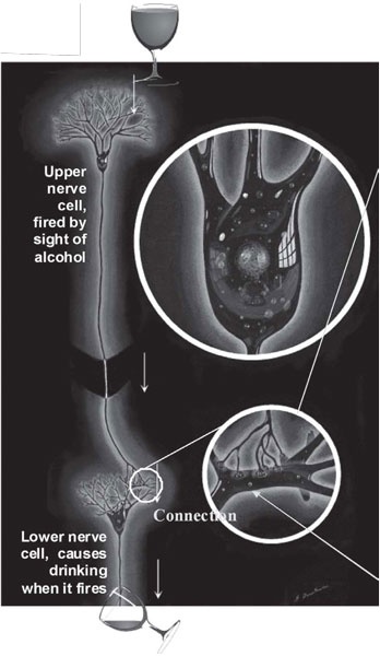 Иллюстрация к книге — Пить, чтобы бросить пить [i_022.jpg]