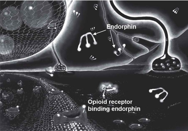 Иллюстрация к книге — Пить, чтобы бросить пить [i_026.jpg]