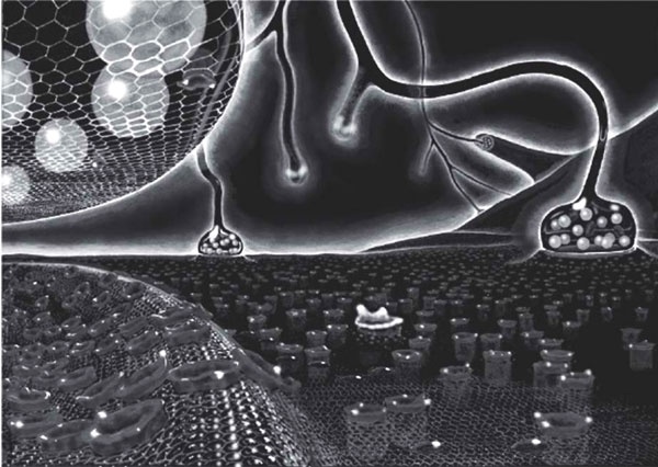 Иллюстрация к книге — Пить, чтобы бросить пить [i_027.jpg]