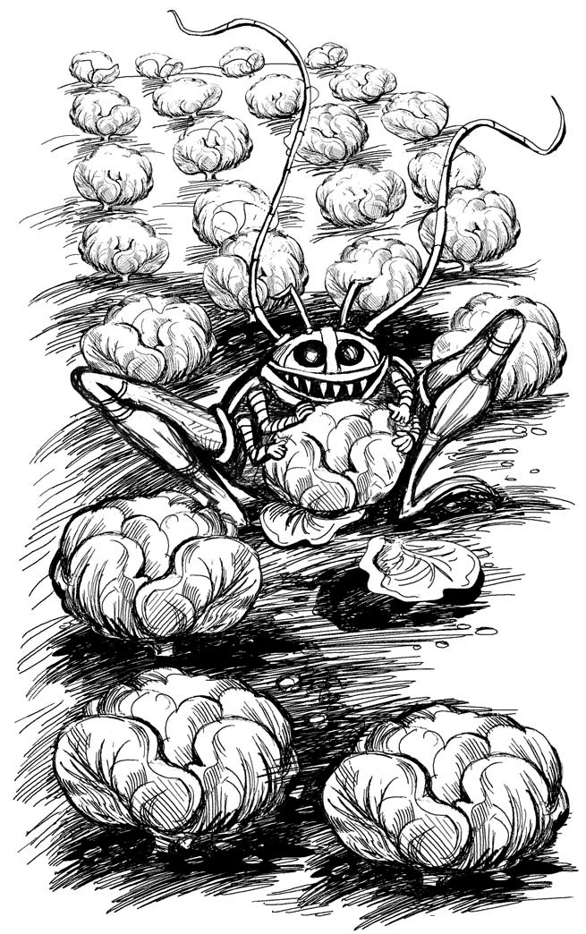 Иллюстрация к книге — Возведённые в степень [i_019.jpg]