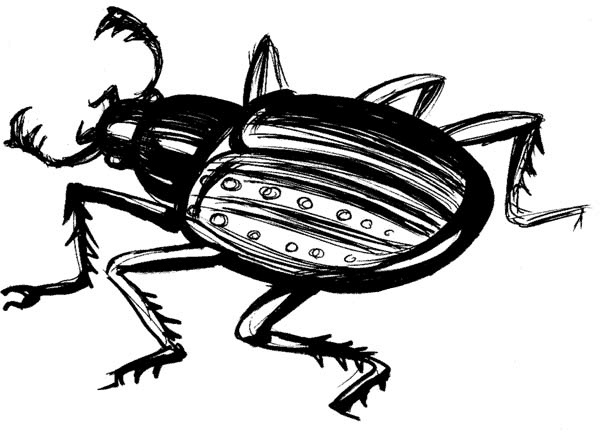 Иллюстрация к книге — Возведённые в степень [i_027.jpg]