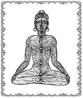 Иллюстрация к книге — Аюрведа. Жить вкусно и не болеть [i_005.jpg]