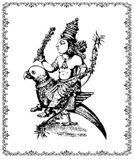 Иллюстрация к книге — Аюрведа. Жить вкусно и не болеть [i_040.jpg]