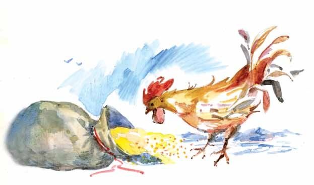 Иллюстрация к книге — Крах тирана [i_126.jpg]