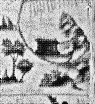 Иллюстрация к книге — Чудо света на Руси под Казанью. Как было на самом деле [i_023.jpg]