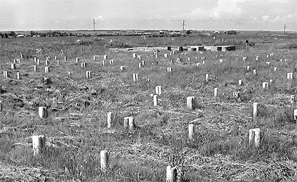 Иллюстрация к книге — Чудо света на Руси под Казанью. Как было на самом деле [i_093.jpg]