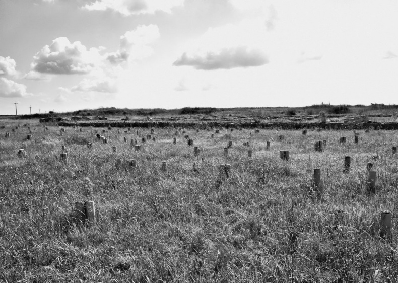 Иллюстрация к книге — Чудо света на Руси под Казанью. Как было на самом деле [i_094.jpg]