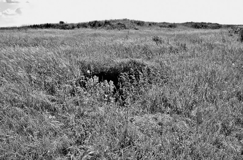 Иллюстрация к книге — Чудо света на Руси под Казанью. Как было на самом деле [i_130.jpg]