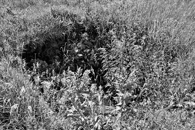 Иллюстрация к книге — Чудо света на Руси под Казанью. Как было на самом деле [i_131.jpg]