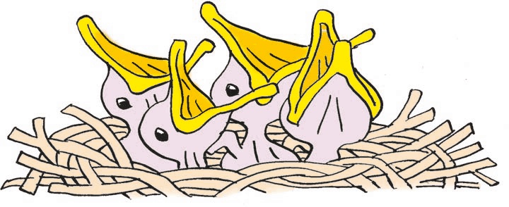 Иллюстрация к книге — Перепёлка и Воробей [i_003.jpg]