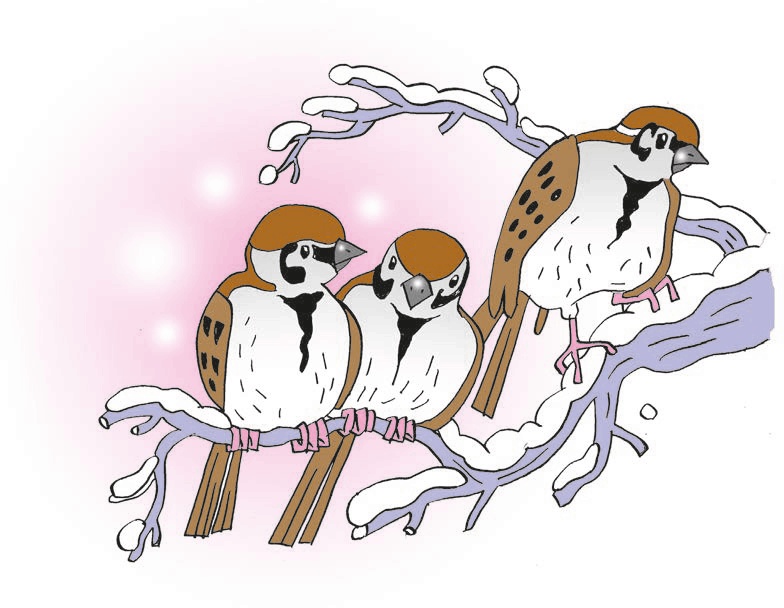 Иллюстрация к книге — Перепёлка и Воробей [i_008.jpg]