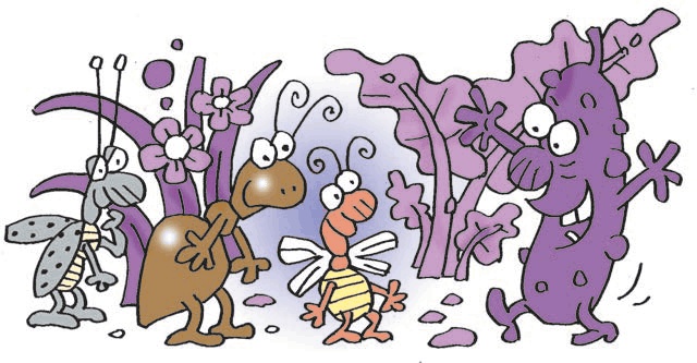 Иллюстрация к книге — Три козявки, фиолетовый козёл и тётя Фрося [i_003.jpg]