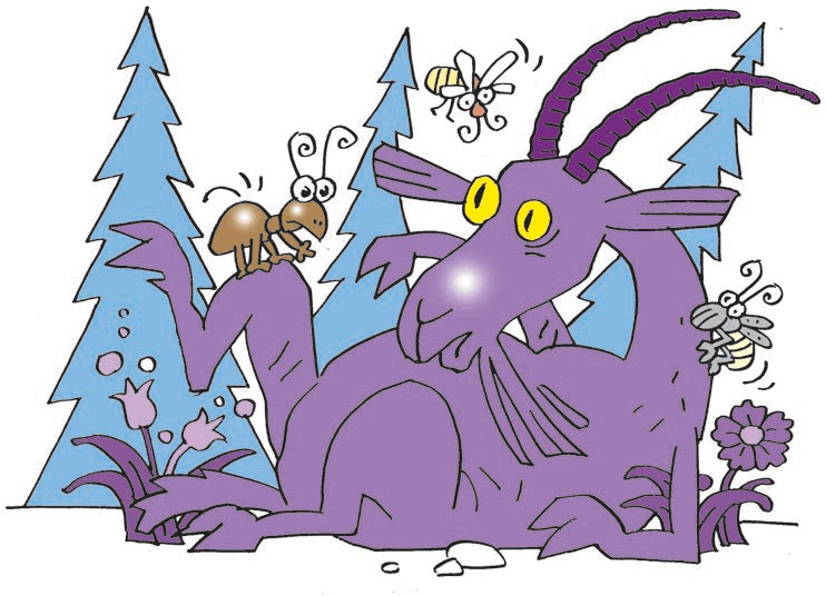 Иллюстрация к книге — Три козявки, фиолетовый козёл и тётя Фрося [i_005.jpg]