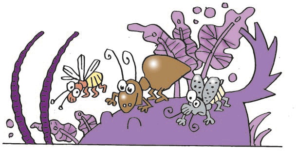 Иллюстрация к книге — Три козявки, фиолетовый козёл и тётя Фрося [i_006.jpg]