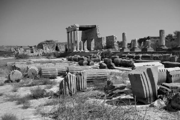 Иллюстрация к книге — Идишская цивилизация. Становление и упадок забытой нации [_02.jpg]