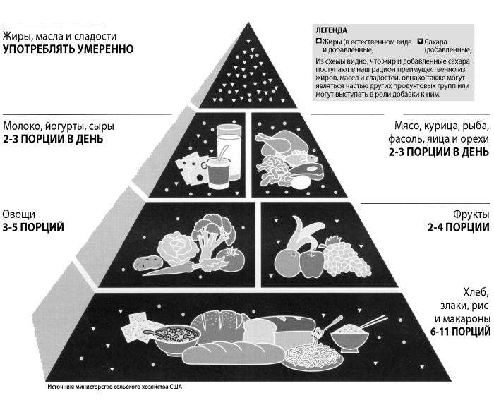 Иллюстрация к книге — Почему мы толстеем. Мифы и факты о том, что мешает нам быть стройными [_017.jpg]