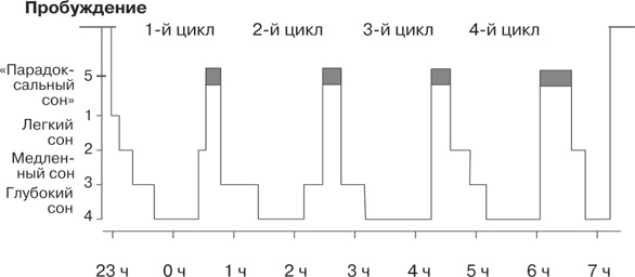 Иллюстрация к книге — Шестой сон [i_001.jpg]