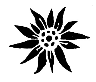 Иллюстрация к книге — Тайна брата [i_006.jpg]