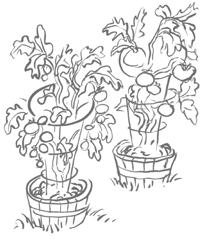 Иллюстрация к книге — Как любить осознанно [i_015.jpg]