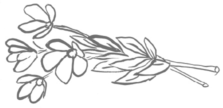 Иллюстрация к книге — Как любить осознанно [i_018.jpg]